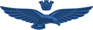 Italian Air Force eagle